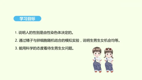 7.2.4人的性别遗传课件-人教版生物八年级下册(共31张PPT)