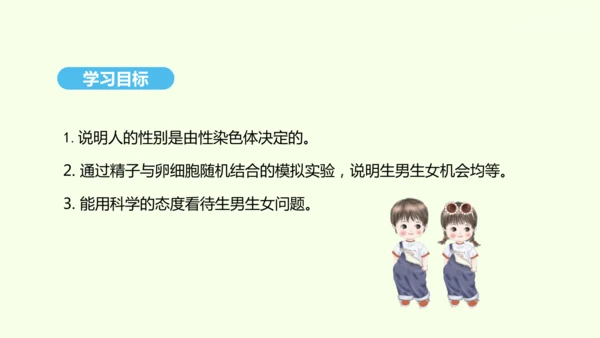 7.2.4人的性别遗传课件-人教版生物八年级下册(共31张PPT)