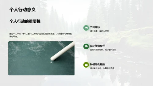 生态系统的构成与影响