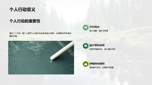 生态系统的构成与影响