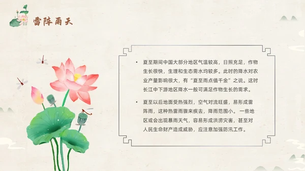 绿色淡雅中国风荷花荷叶中国二十四节气之夏至节气介绍PPT