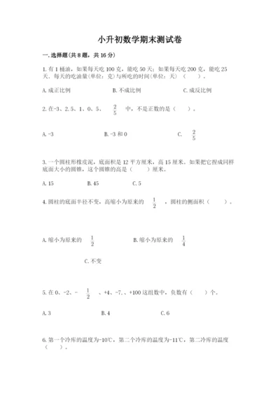 小升初数学期末测试卷精选.docx