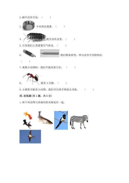 教科版一年级下册科学期末测试卷【word】.docx