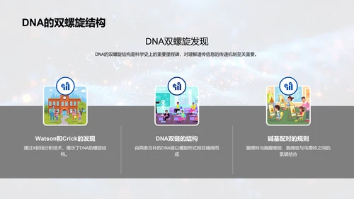 DNA结构与功能