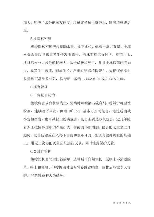 梭梭荒漠造林技术论文.docx