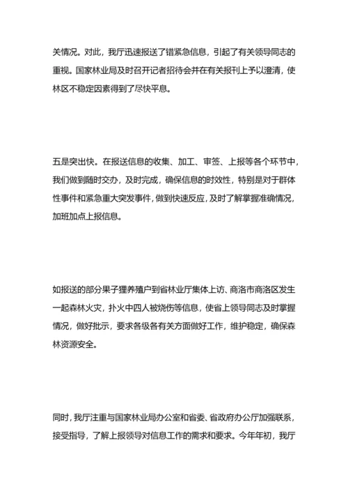 政务督查工作总结.docx