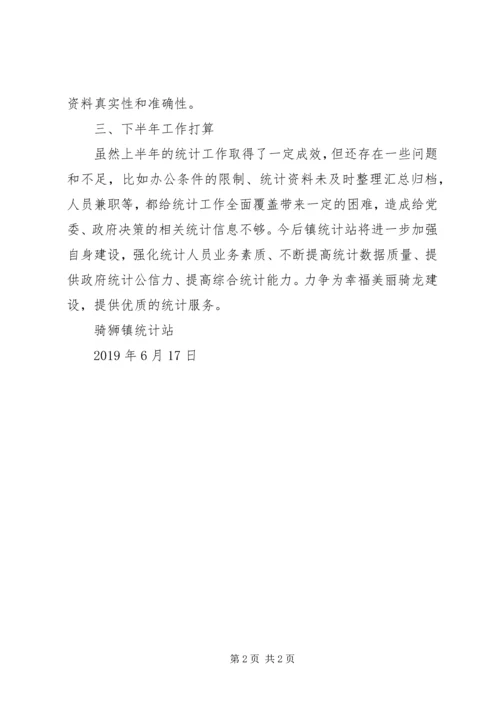 乡镇统计站某年度工作的总结.docx