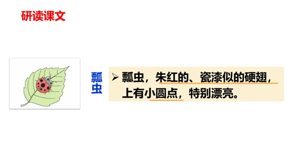 第4课《昆虫备忘录》（教学课件）