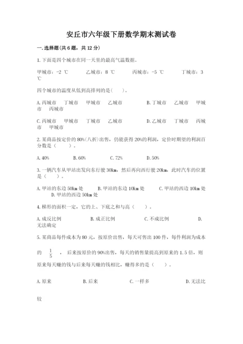 安丘市六年级下册数学期末测试卷精品附答案.docx