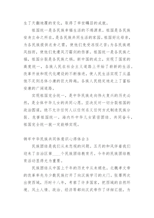 铸牢中华民族共同体意识心得体会.docx