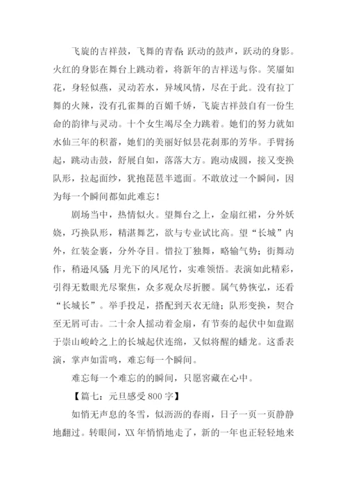 关于元旦节的作文.docx