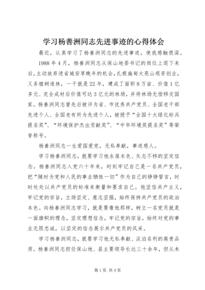 学习杨善洲同志先进事迹的心得体会.docx