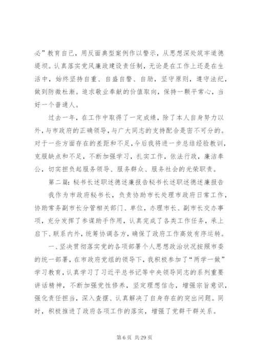 政府秘书长的述职述廉报告[范文模版].docx