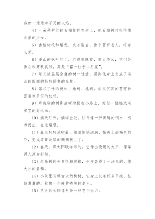 小学三年级好词好句好段摘抄.docx