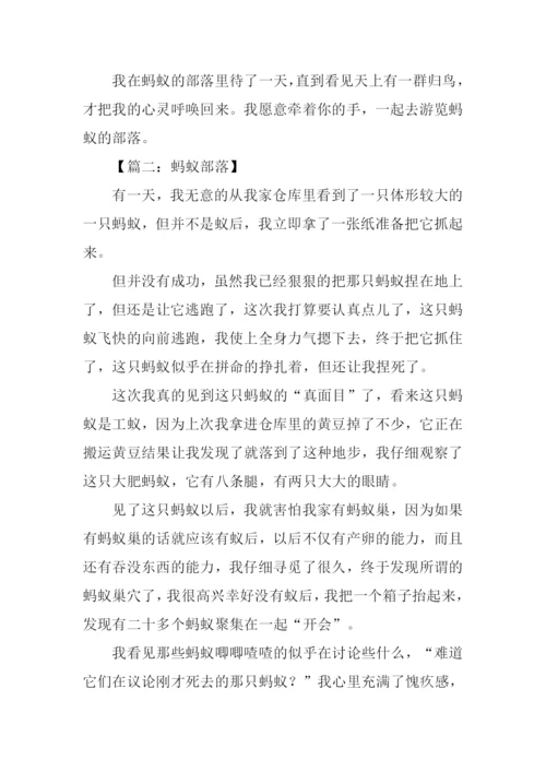 蚂蚁部落作文.docx