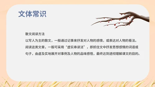 红色中国风初一语文阿长与山海经课件PPT模板