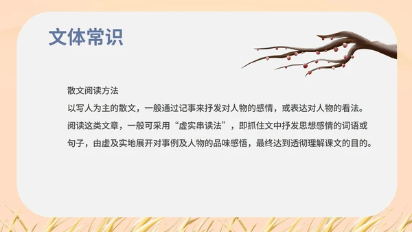 红色中国风初一语文阿长与山海经课件PPT模板