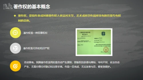 IPR知识产权介绍通用PPT模板