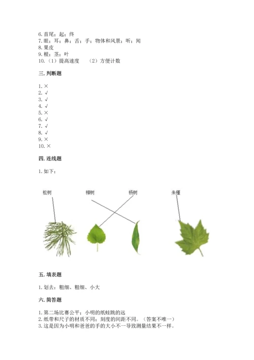 教科版科学一年级上册期末测试卷【考点梳理】.docx