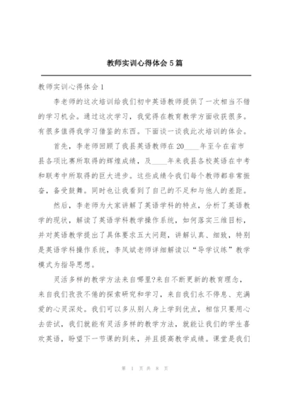 教师实训心得体会5篇.docx