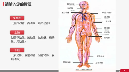 医疗医用医学卫生教学课件通用PPT模板