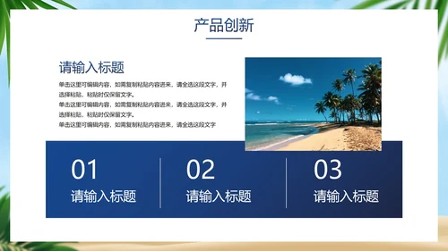高级立体夏季产品介绍手册PPT模板