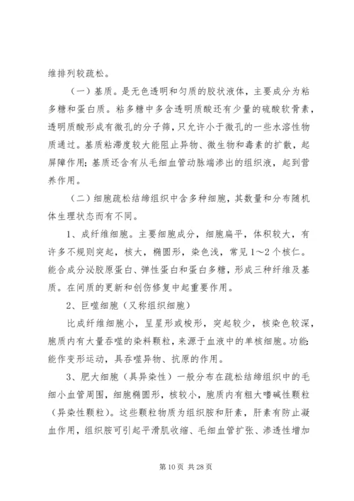 动物解剖与组织胚胎学讲稿.docx