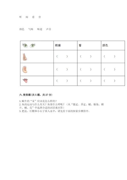 教科版小学科学一年级下册期末测试卷含完整答案【夺冠】.docx