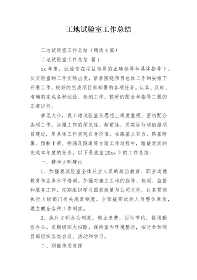 工地试验室工作总结.docx