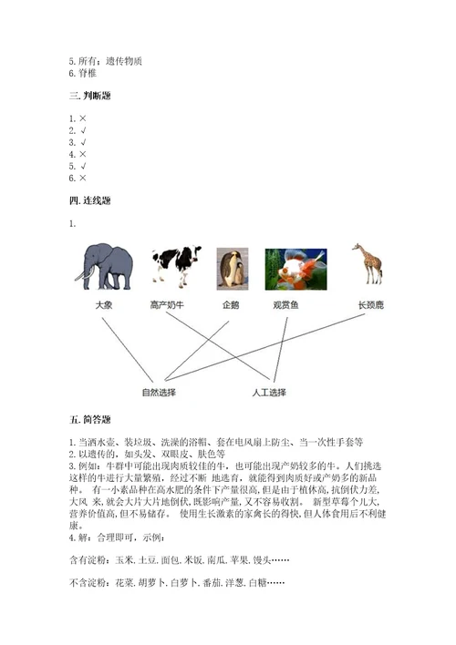 教科版科学六年级下册期末测试卷可打印