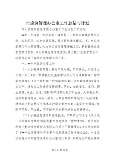 市应急管理办公室工作总结与计划.docx