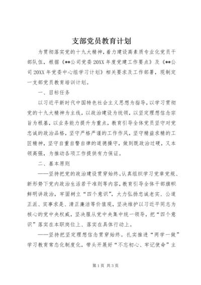 支部党员教育计划.docx