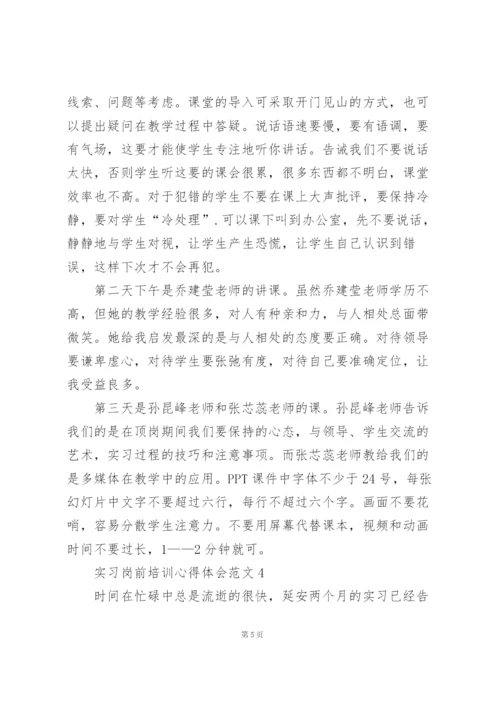 实习岗前培训心得体会范文5篇.docx