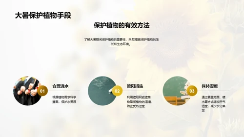 大暑节气与环保实践