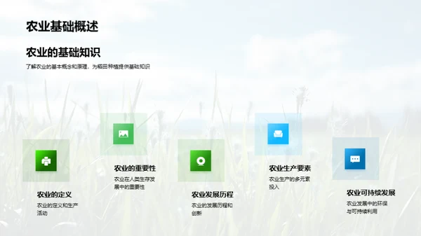 稻田科学种植