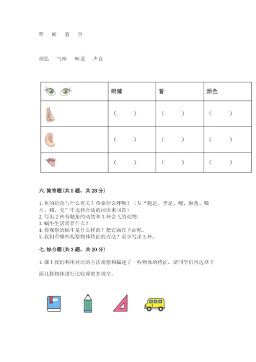 教科版小学科学一年级下册期末测试卷完整版.docx