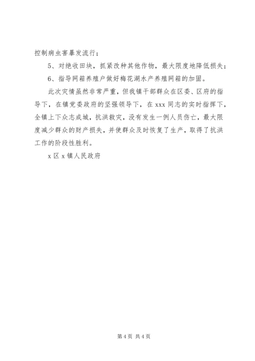 乡镇抗洪救灾个人先进事迹材料.docx
