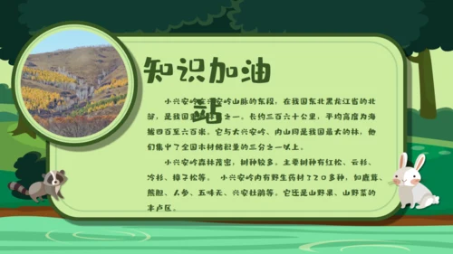 绿色卡通《美丽的小兴安岭》通用PPT课件