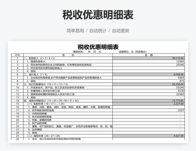 税收优惠明细表