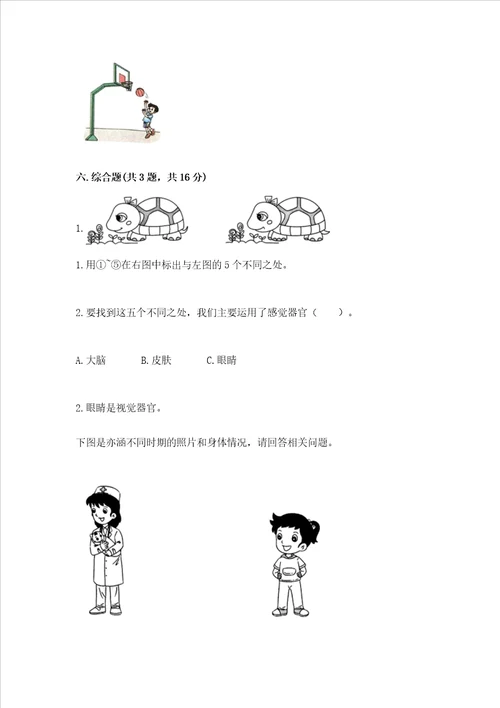 教科版科学小学二年级下册期末测试卷（有一套）