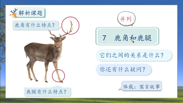 【核心素养】部编版语文三年级下册-7. 鹿角和鹿腿 第1课时（课件）