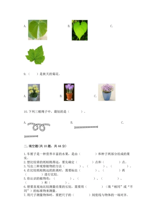 教科版一年级上册科学期末测试卷精品【名师系列】.docx