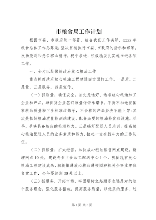 市粮食局工作计划 (5).docx