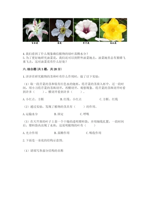 科学四年级下册第一单元《植物的生长变化》测试卷含完整答案【名师系列】.docx