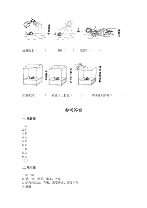 教科版一年级下册科学期末测试卷精品（黄金题型）.docx