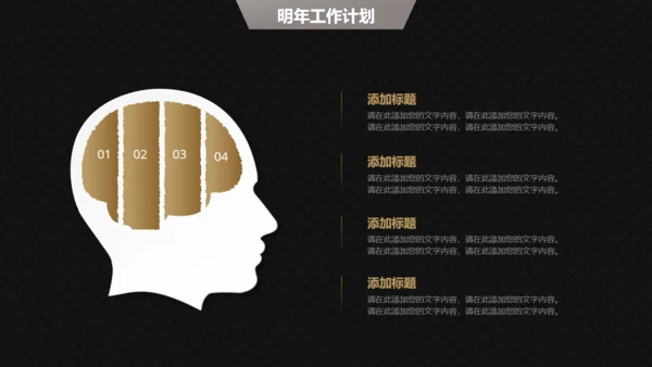 高端黑金商务商业计划书通用PPT模版