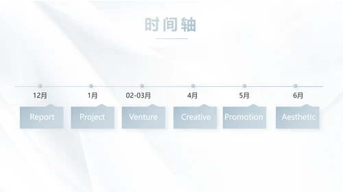 公司品牌介绍宣传策划方案工作总结动态PPT