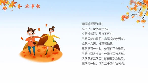 简约插画枫叶立秋二十四节气立秋科普知识科普PPT