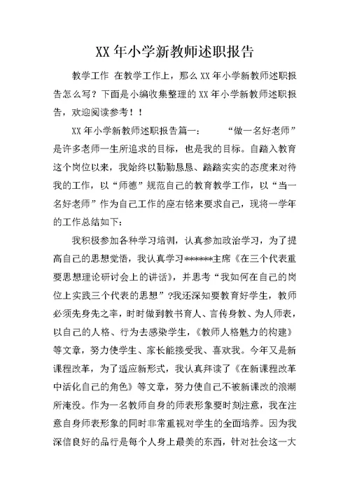 XX年小学新教师述职报告