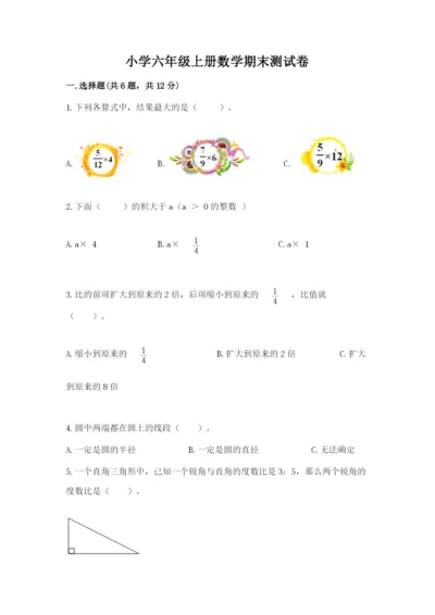 小学六年级上册数学期末测试卷附完整答案【精选题】.docx